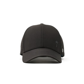 Trotter Splash Obsidian Palm