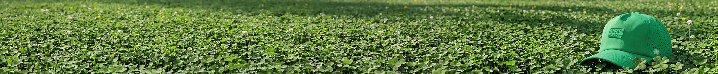 St Patrick's Day Collection