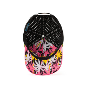 Coaster Splash Florida Pink Sunset