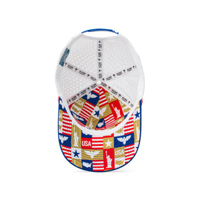 Coaster Splash USA Gold