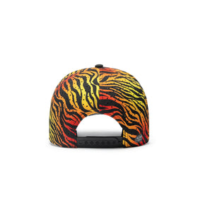Coaster Splash Tiger Stripes