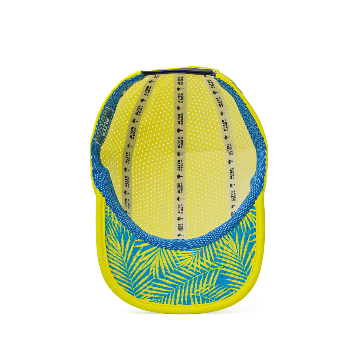 Cruiser Pro Splash Citrus Sky Endless Summer