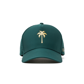 Coaster Splash Royal Palm Deep Green