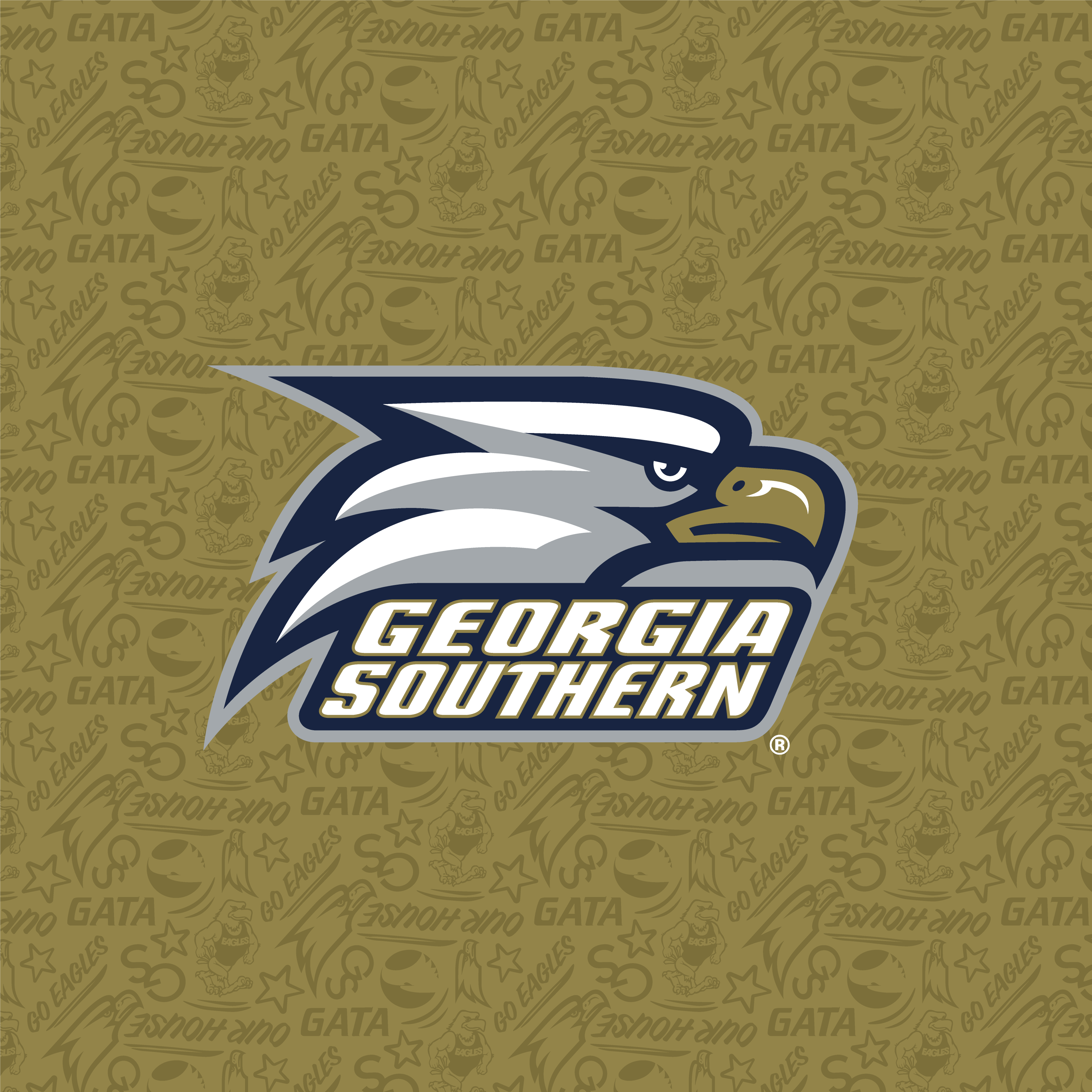 Georgia Southern University: Coming Soon