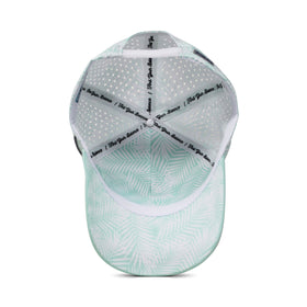 Coaster Splash Mint Summer Palm