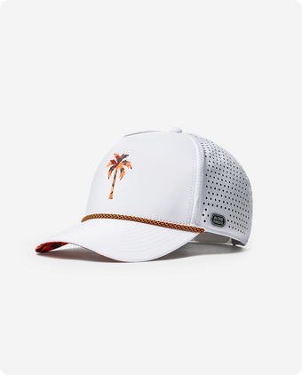 Iconic Palm Refresh