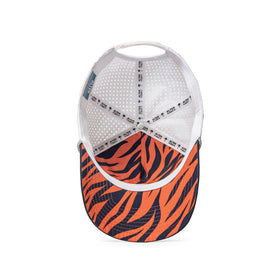 Coaster Splash Auburn AU