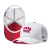 Texas Tech Red Raiders