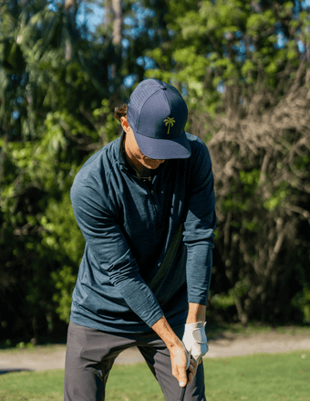 Royal Palm Collection