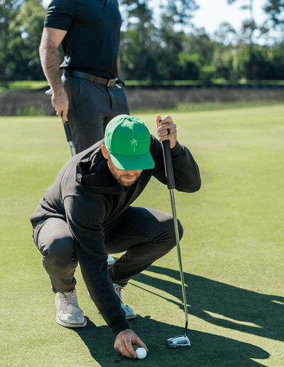 Royal Palm Collection