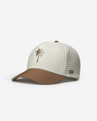 Royal Palm