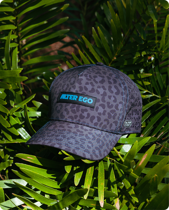 Safari