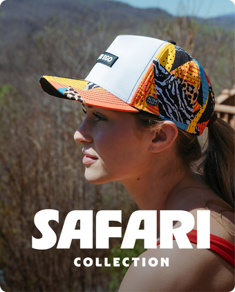 Safari Collection