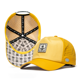 Traveler Splash Solar Skull Oasis