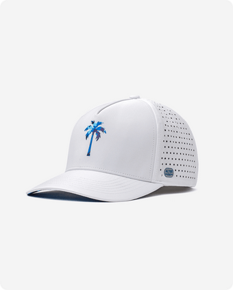 Iconic Palm Collection